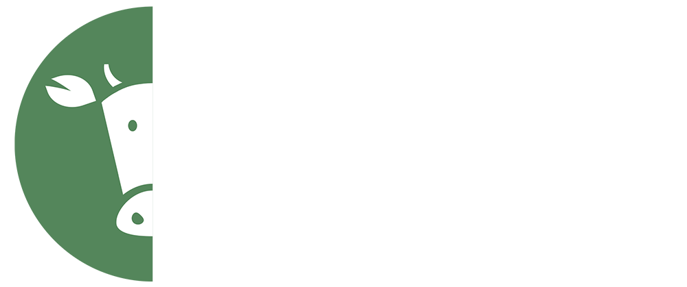 logo fae